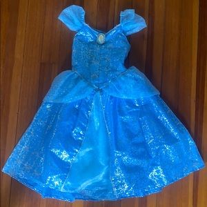 Magic Kingdom Disney World Cinderella Dress